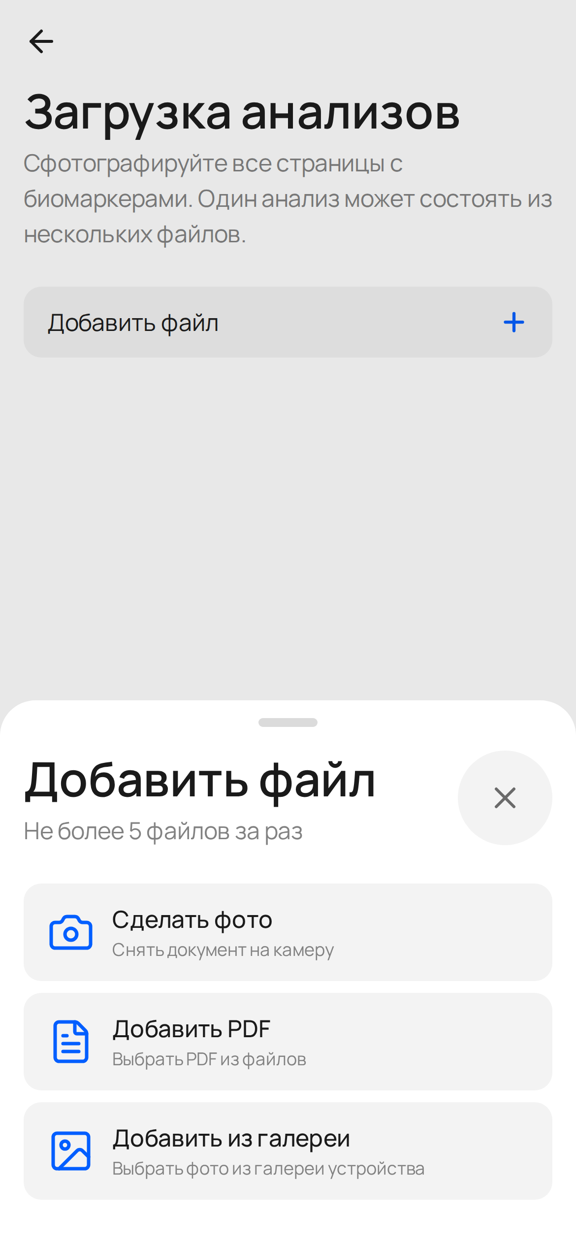 Загрузка анализов